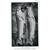 <i>A. St. J. Macdonald</i><br>Circumventing the mahseer<br>and other sporting fish in India and Burma