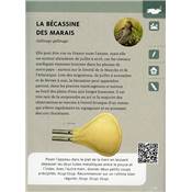 <i>F. Morel & L. Corot</i><br>Parler aux oiseaux.<br>Le guide des appeaux