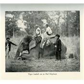 <i>R. Pigot</i><br>Twenty-five years big game hunting