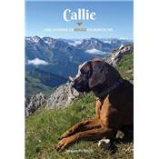 <i>J. Puthod</i><br>Callie.<br>Une chienne de rouge en montagne