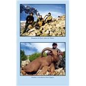 <i>J.-Y. Quéau</i><br>Trophées des sommets.<br>À l'approche des chèvres et des mouflons du monde entier