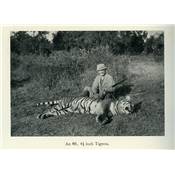 <i>A. E. Stewart</i><br>Tiger and other game.<br>The pratical experiences of a soldier shikari in India